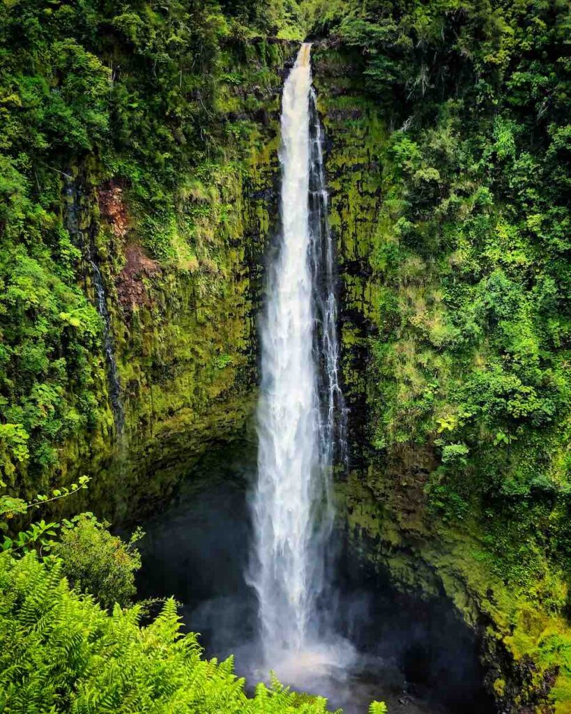 Image of Akaka Falls on the Big Island of Hawaii