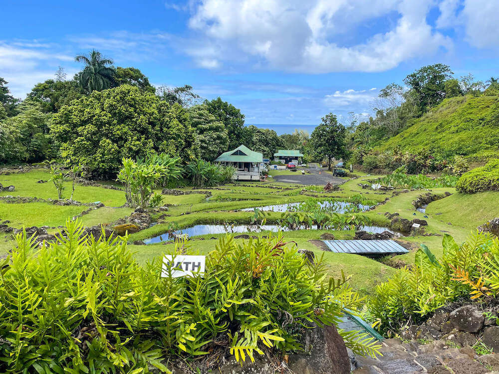 Image of Limahuli Garden on Kauai